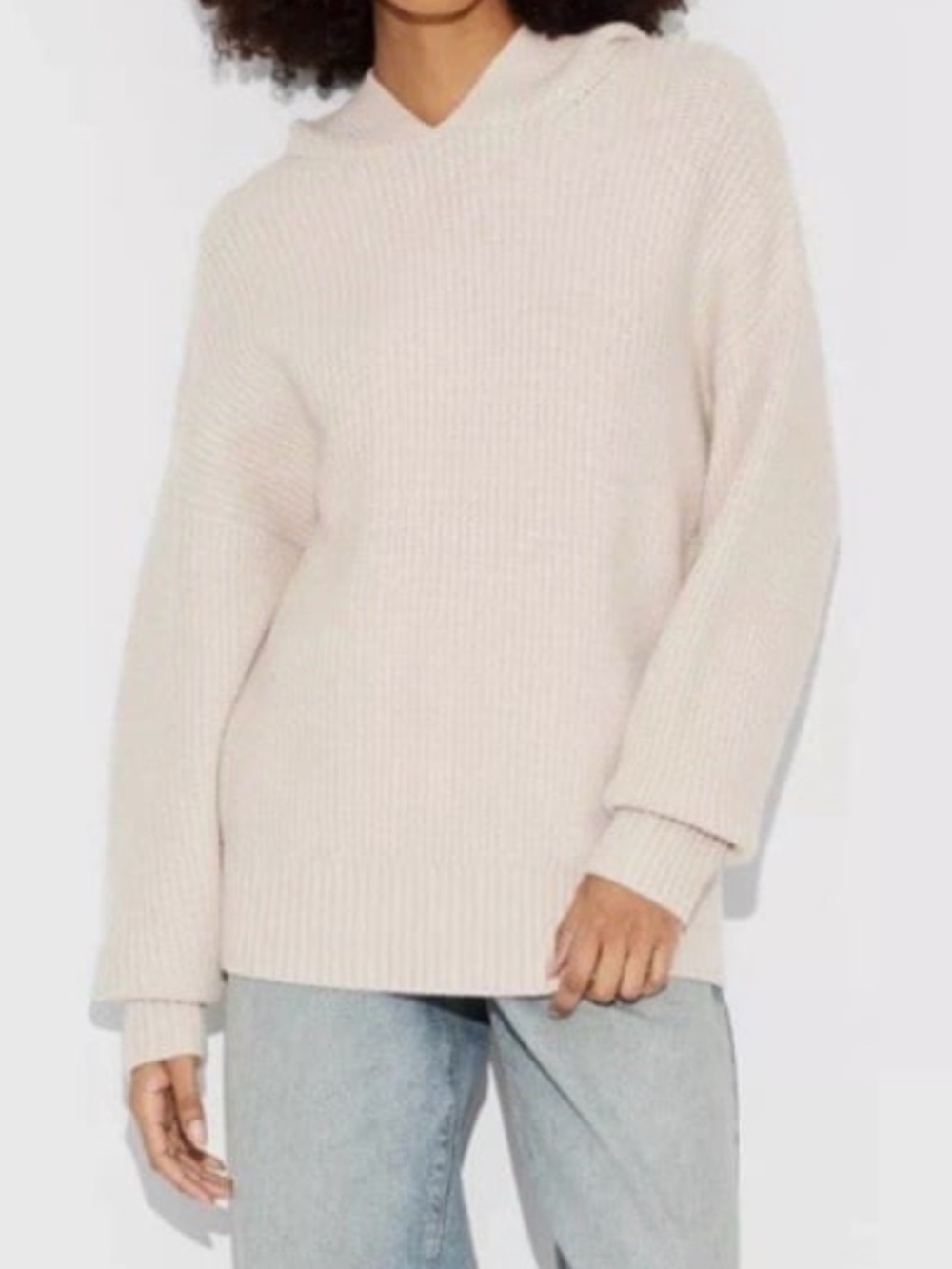 Wild Fable Hooded Oversized Sweater